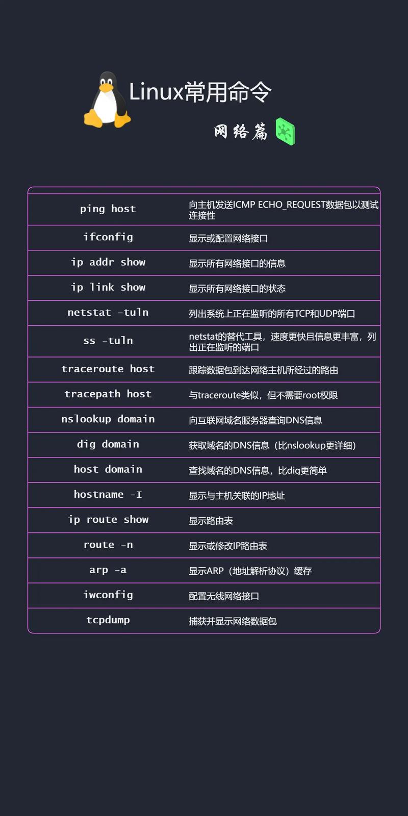 Linux 上网命令有哪些常用功能？-图3