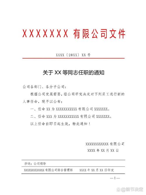 任命令格式有哪些具体要求？-图1