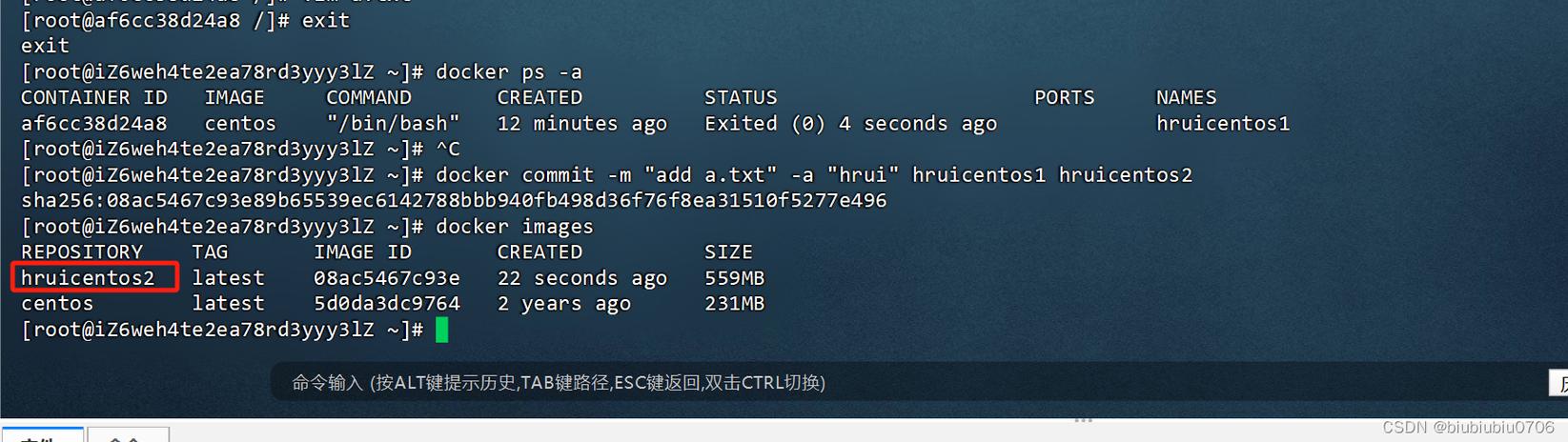 Docker镜像命令有哪些常用操作？-图2