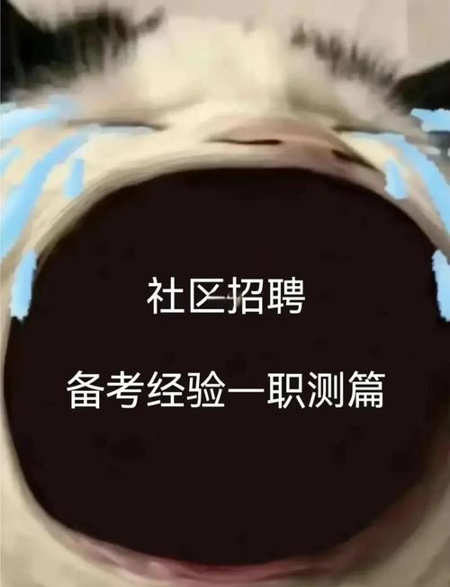 上地测试招聘要求有哪些？-图3