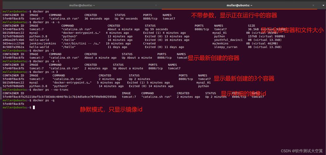 Docker删除命令有哪些？容器、镜像、数据咋删？-图3