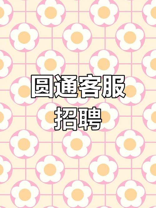 圆通IT招聘有何具体岗位要求？-图1