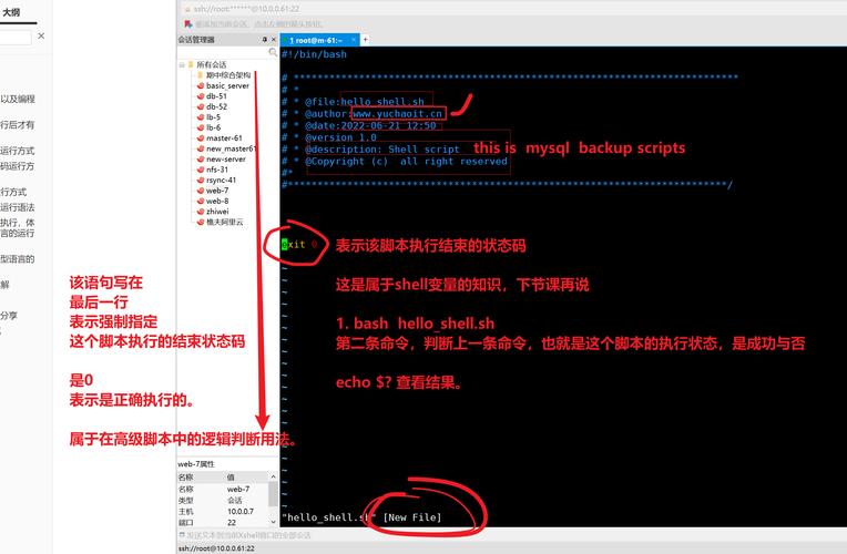 shell命令d有哪些具体用法和参数？-图1