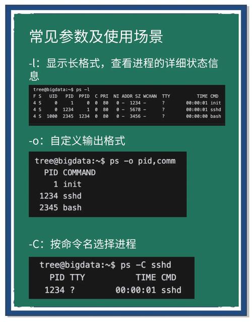 ps命令显示哪些关键进程信息？-图1