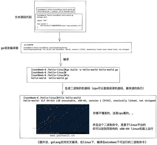 shell命令交互如何高效使用？-图2