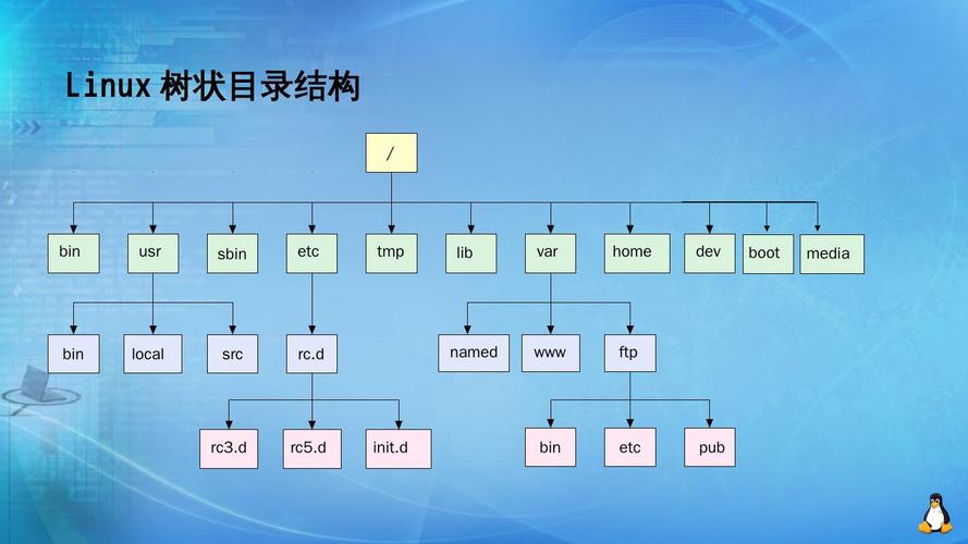 目录树命令有哪些常用参数？-图2