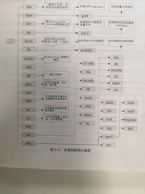 目录树命令有哪些常用参数?-图1 目录树命令有哪些常用参数?-图1