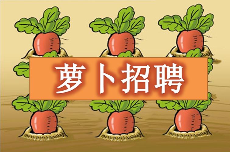长春萝卜招聘是啥？招啥岗？待遇咋样？-图1