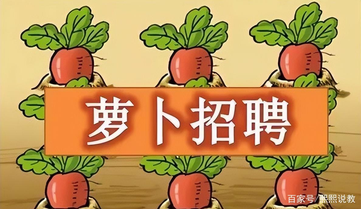 长春萝卜招聘是啥？招啥岗？待遇咋样？-图3