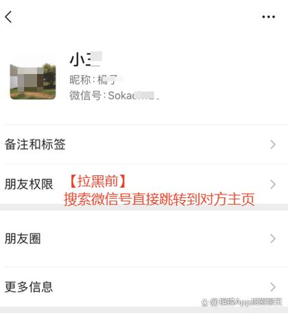 如何知道谁在朋友圈拉黑我？-图3