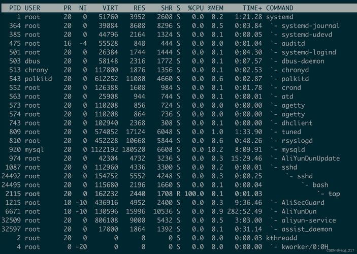 Linux显示命令有哪些常用选项？-图2