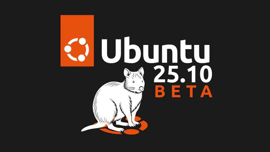 Linux内核招聘，需要哪些核心技能？-图2