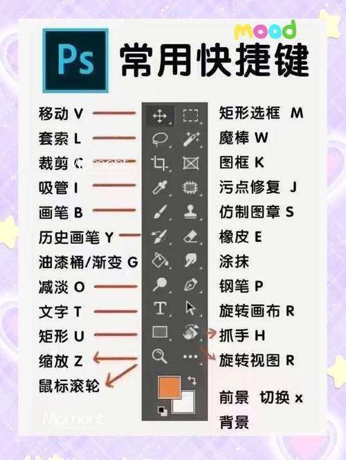PS SC6描边怎么操作？-图3