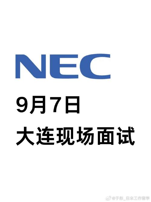 大连nec招聘要求有哪些？-图2