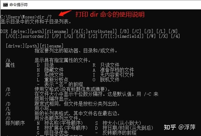 文件备份命令有哪些常用选项？-图2