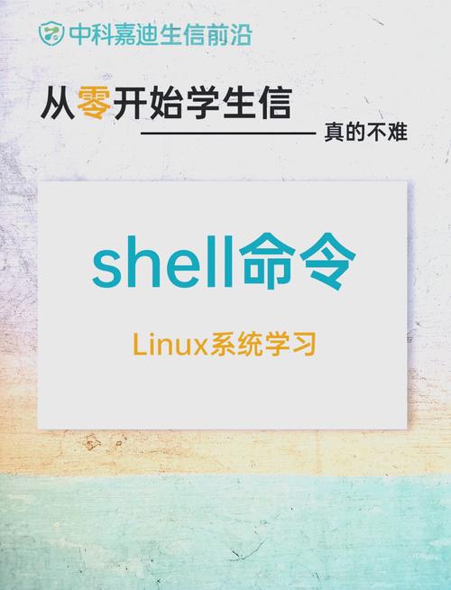 Shell命令如何快速入门？-图1
