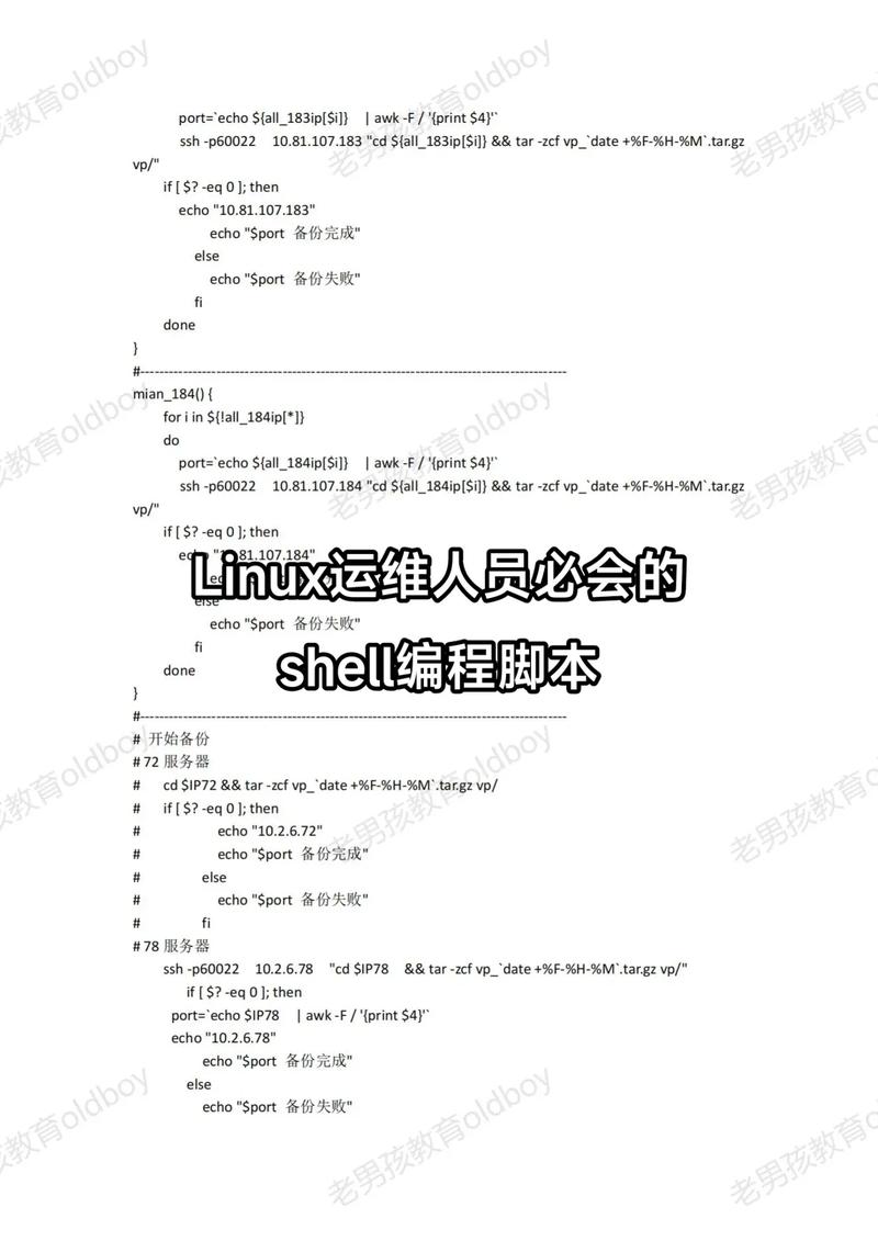 Shell命令如何快速入门？-图3