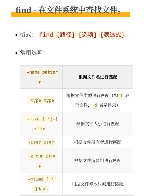 LVS命令有哪些核心参数及使用场景？-图3