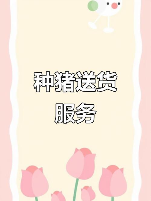 小猪罐子招聘，什么岗位在招？-图3