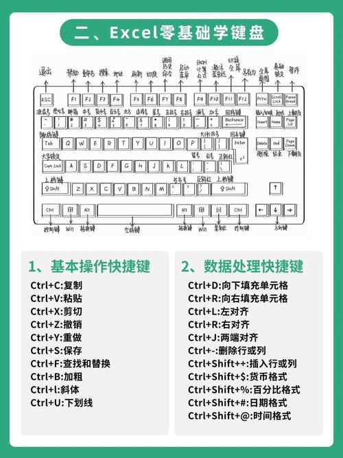 Excel交互命令有哪些常用技巧？-图3
