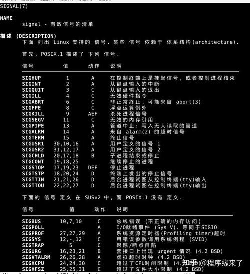 Shell常见命令有哪些？-图1