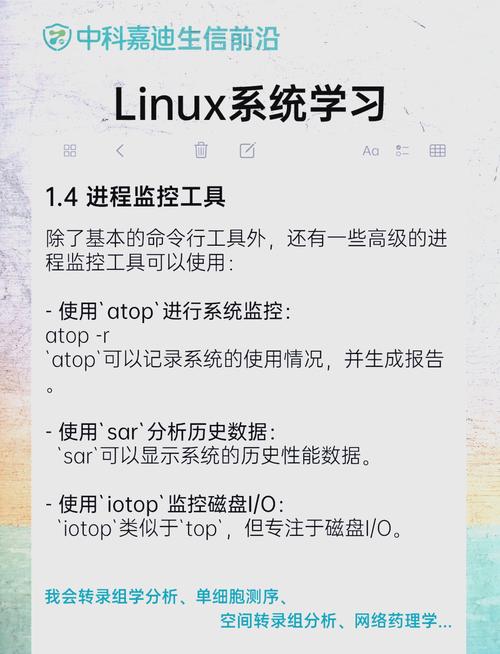 Shell命令究竟藏在哪里？-图2