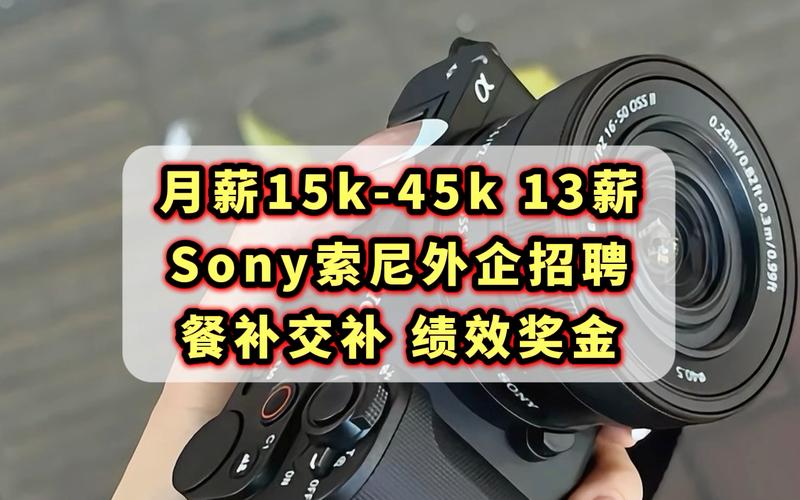 索尼东莞招聘，哪些岗位在招？-图2