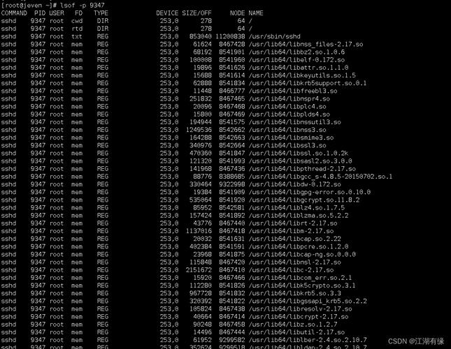 Linux命令l有哪些常用选项和功能？-图1