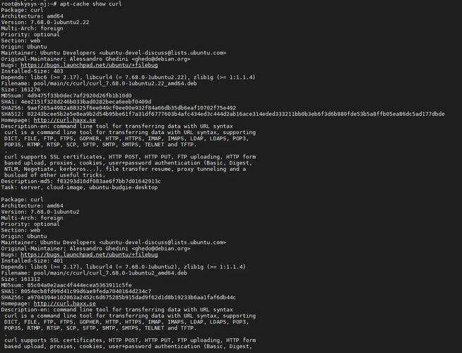 Nginx命令有哪些常用操作及参数？-图2