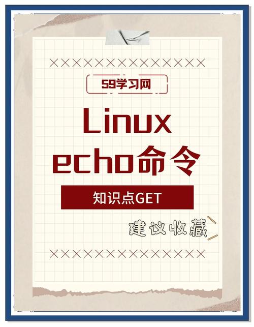 ehco命令具体怎么用？-图2