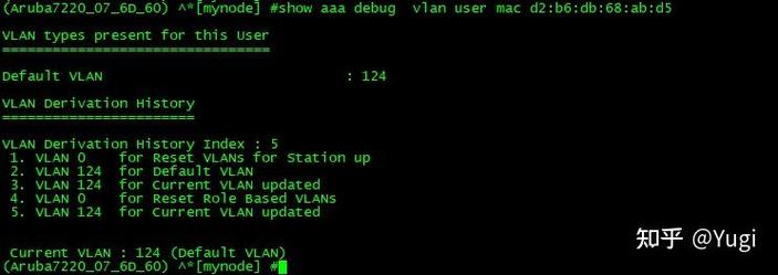 Aruba命令有哪些常用操作？-图1