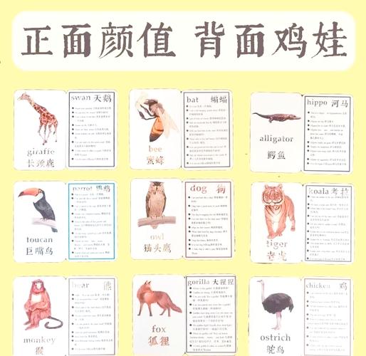 zebra命令是什么？如何使用zebra命令？-图2