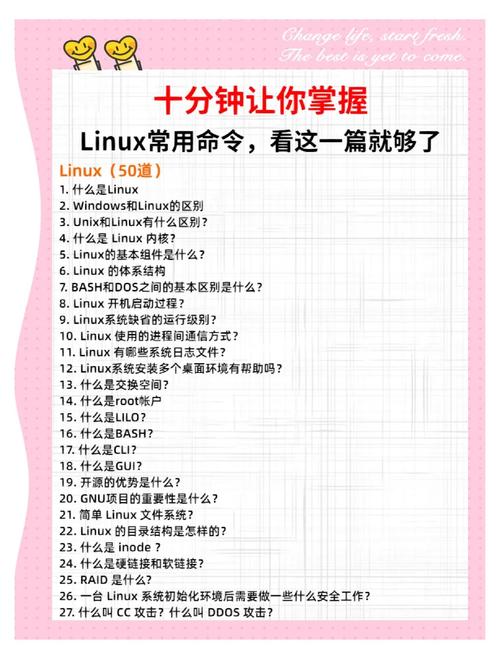 学命令，如何快速掌握核心要点？-图2
