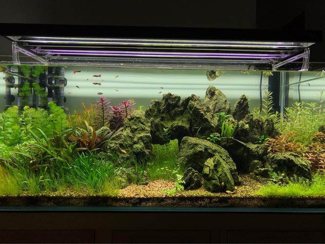 济南CTA招聘，具体岗位要求有哪些？-图3