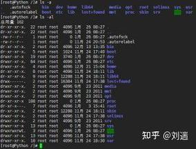 l命令有何功能与使用场景？-图3