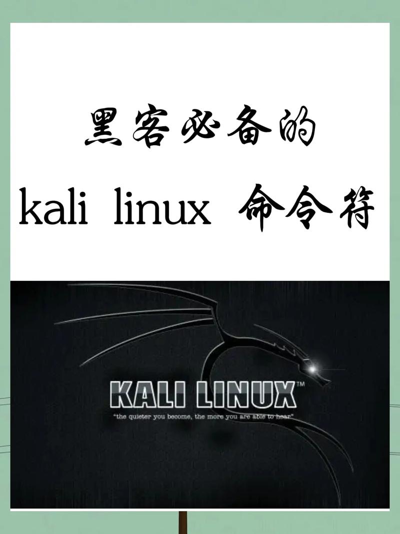 Veritas命令是什么？如何使用？-图3