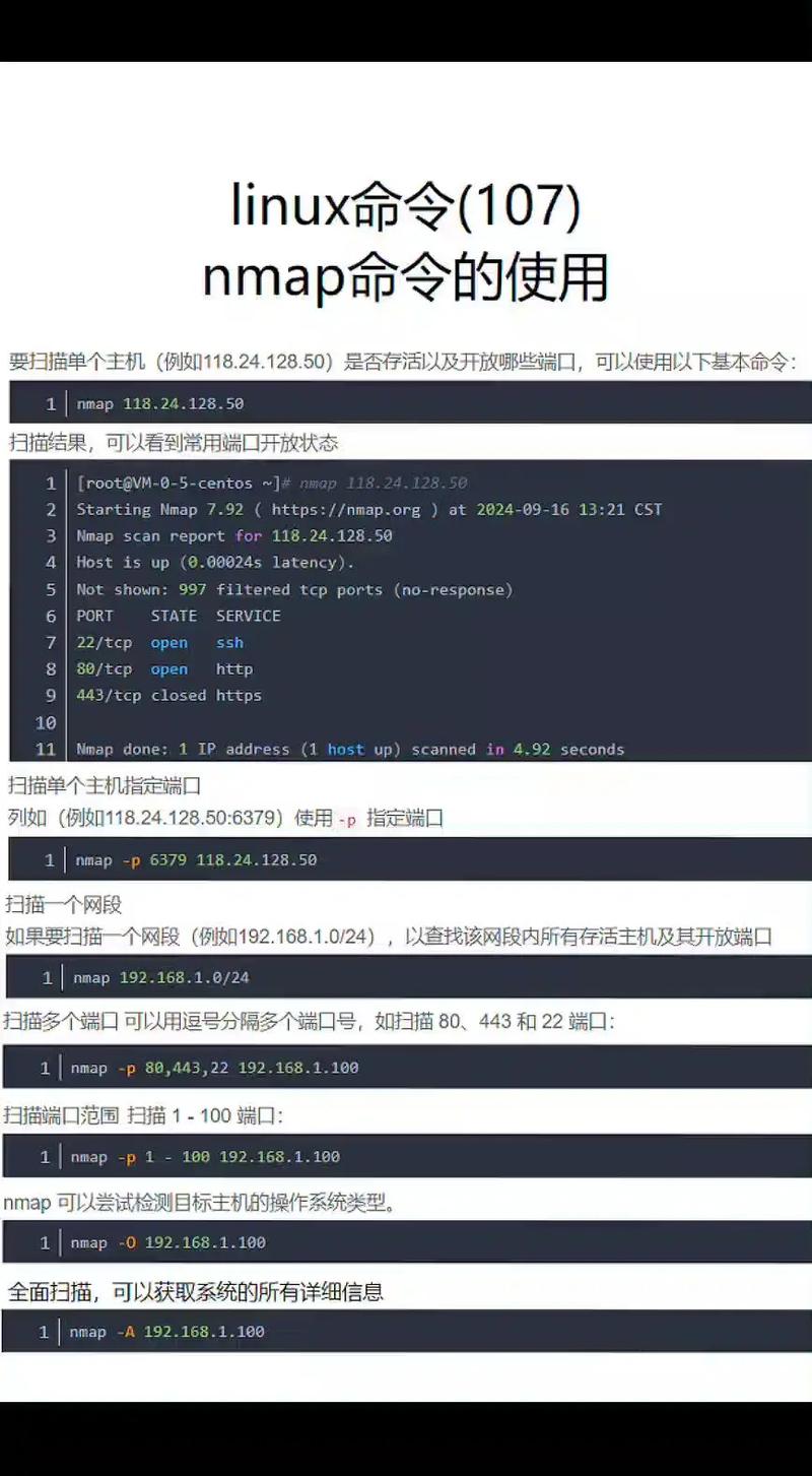 namp命令如何快速入门与高效使用？-图1