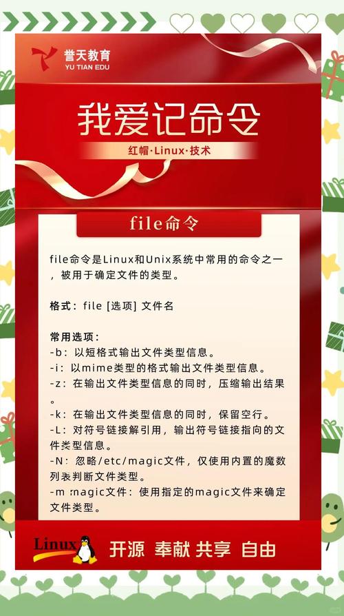 t命令的具体功能和使用场景是什么？-图2