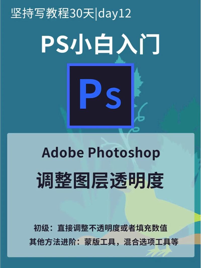 PS如何不保存透明区域？-图3