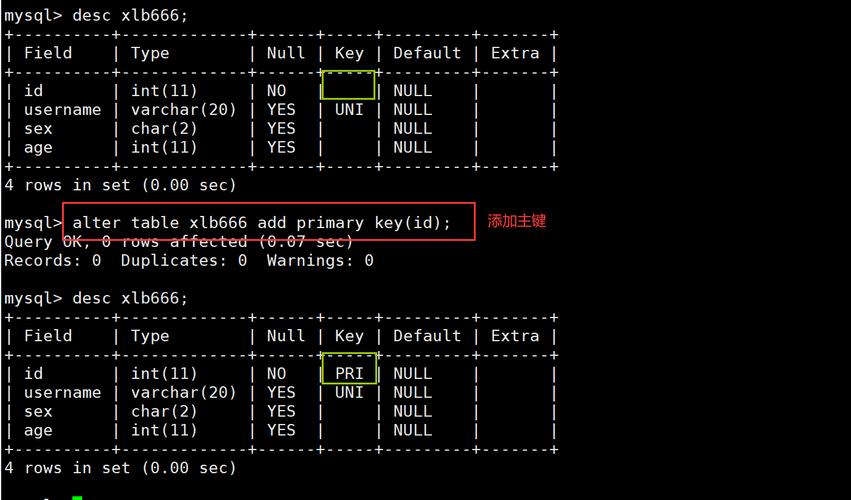 如何进入MySQL数据库命令行？-图3