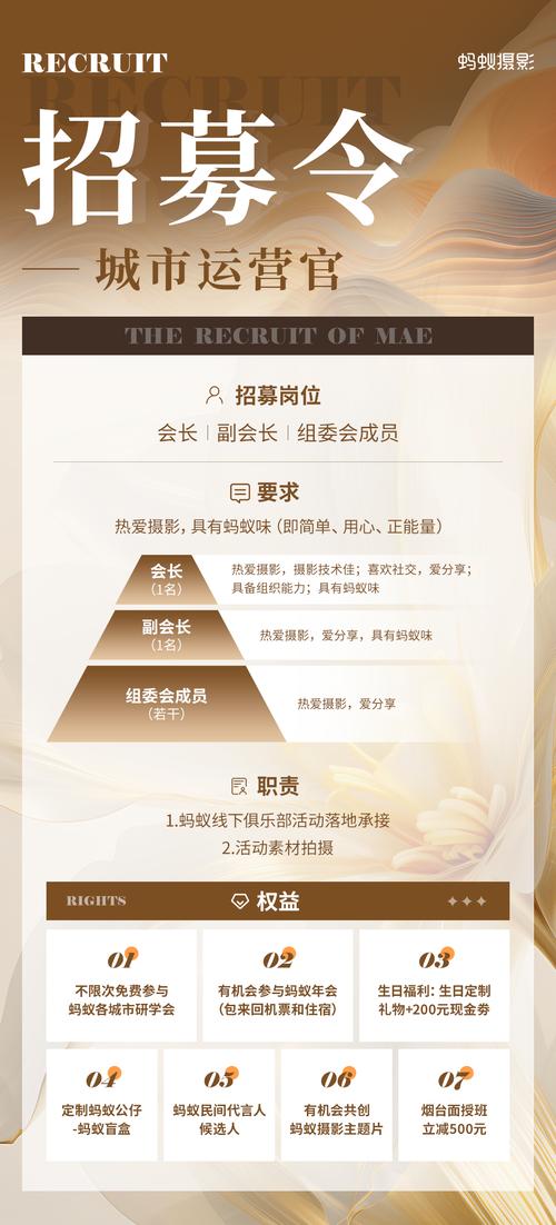 蚂蚁评估招聘标准是什么？-图1