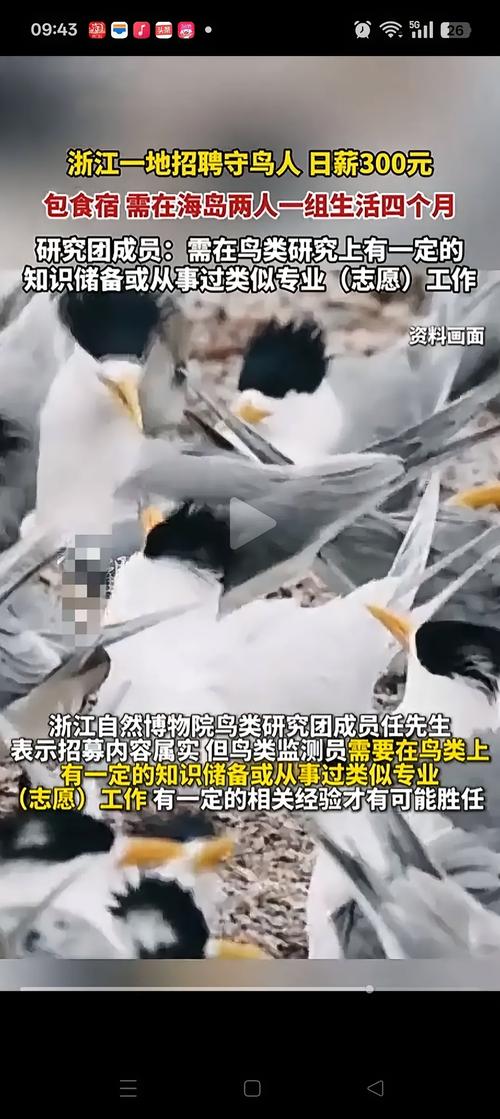 考过鸟招聘靠谱吗？能找到好工作吗？-图1