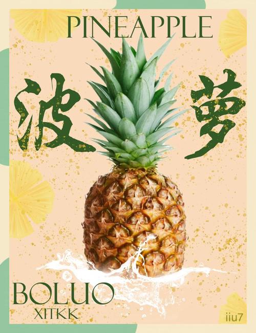 菠萝理财招聘，有何岗位要求？-图1
