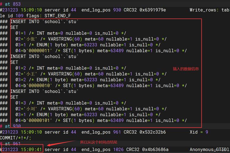 Linux MySQL数据库导出命令怎么用？-图3