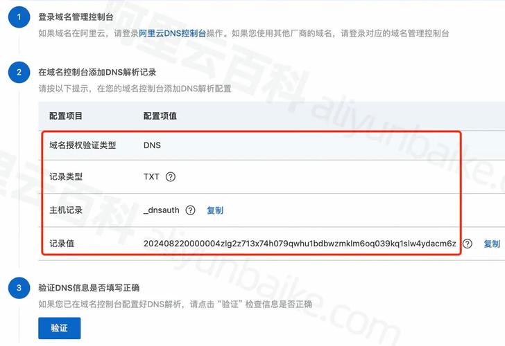 域名别名解析怎么操作？-图1