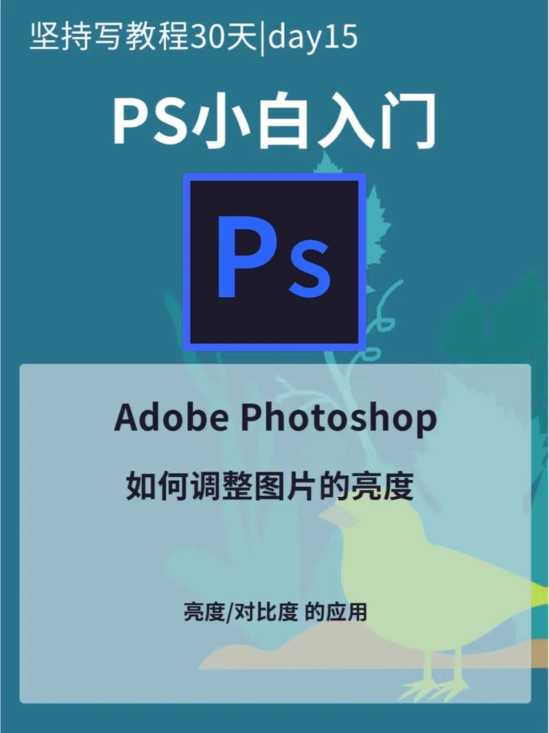 PS模板已下载,如何按教程使用?-图3 PS模板已下载,如何按教程使用?-图3