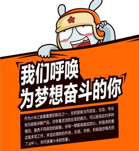 小米DSP招聘有何具体要求？-图2