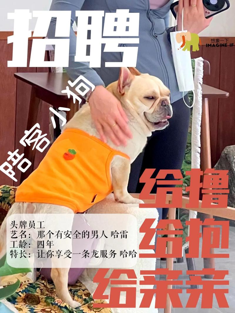 yy拉勾招聘靠谱吗？-图1