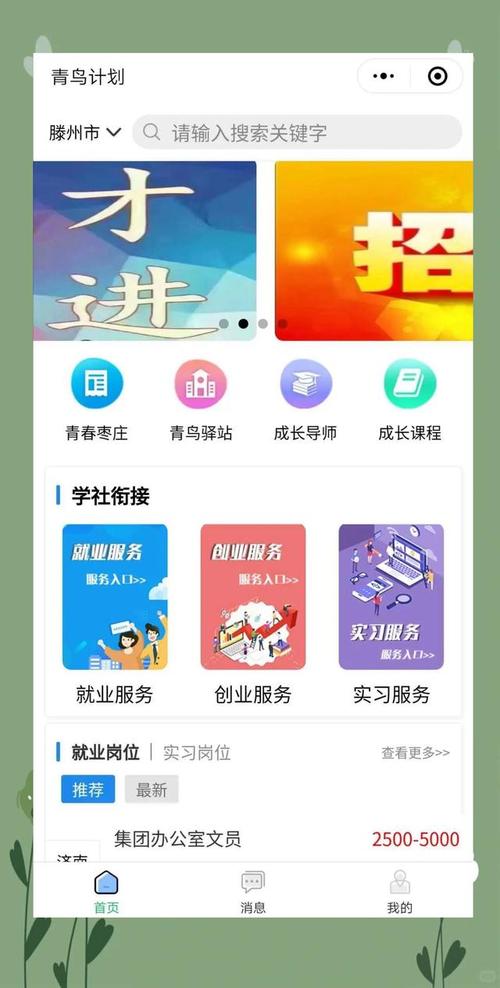 青鸟传播招聘什么岗位？要求有哪些？-图2
