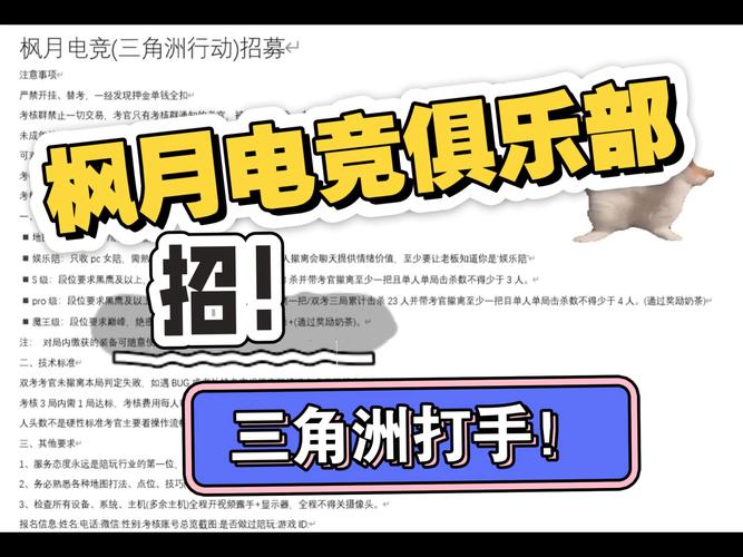 攻击小组招什么人？要求有哪些？-图1